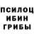 Псилоцибиновые грибы Psilocybe Leonid Almazov