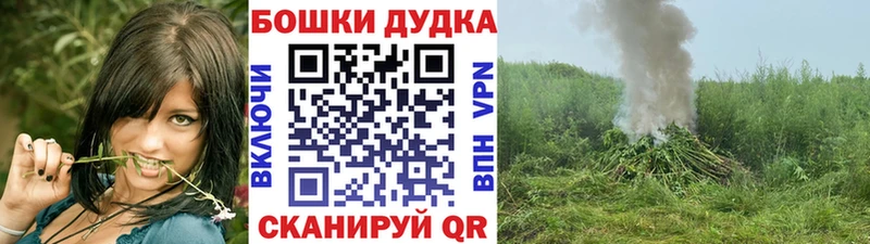 Конопля OG Kush  Купить  Туринск 